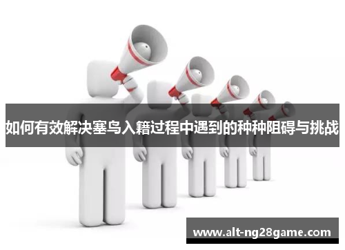 如何有效解决塞鸟入籍过程中遇到的种种阻碍与挑战
