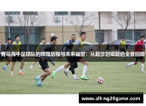 青岛海牛足球队的辉煌历程与未来展望:从起步到崛起的全景回顾 青岛海牛足球队的辉煌历程与未来展望:从起步到崛起的全景回顾