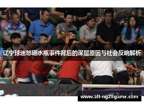 辽宁球迷怒砸水瓶事件背后的深层原因与社会反响解析 辽宁球迷怒砸水瓶事件背后的深层原因与社会反响解析