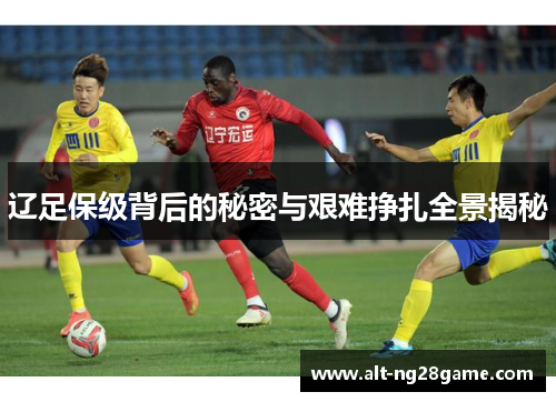 辽足保级背后的秘密与艰难挣扎全景揭秘